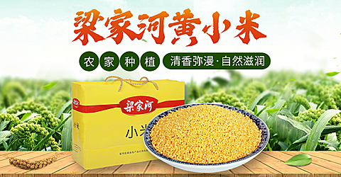 食品粮油小米海报