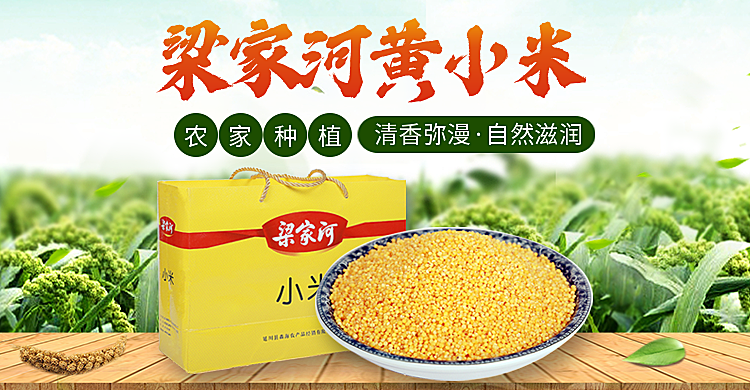 食品粮油小米海报
