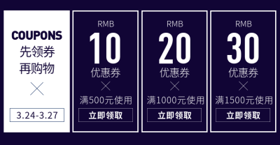 奢华风黑色优惠券