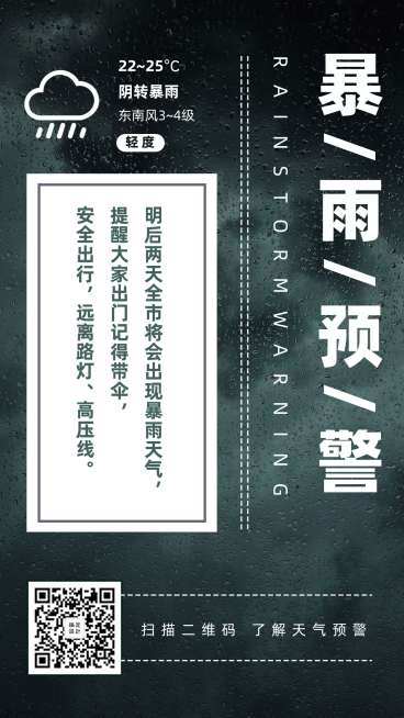 暴雨预警通知提醒简约实景手机海报预览效果