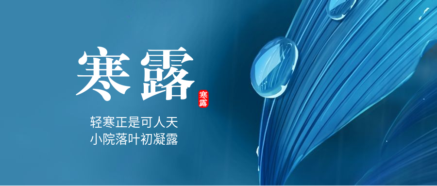寒露/实景插画/公众号首图预览效果
