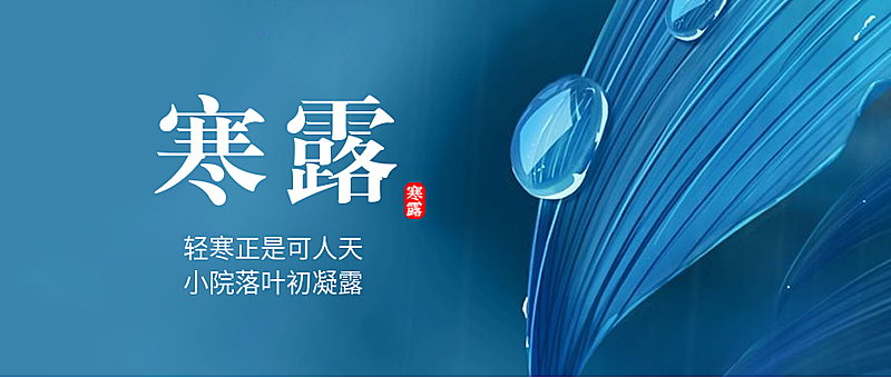 寒露/实景插画/公众号首图