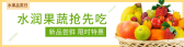 模板缩略图