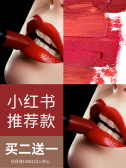 模板缩略图