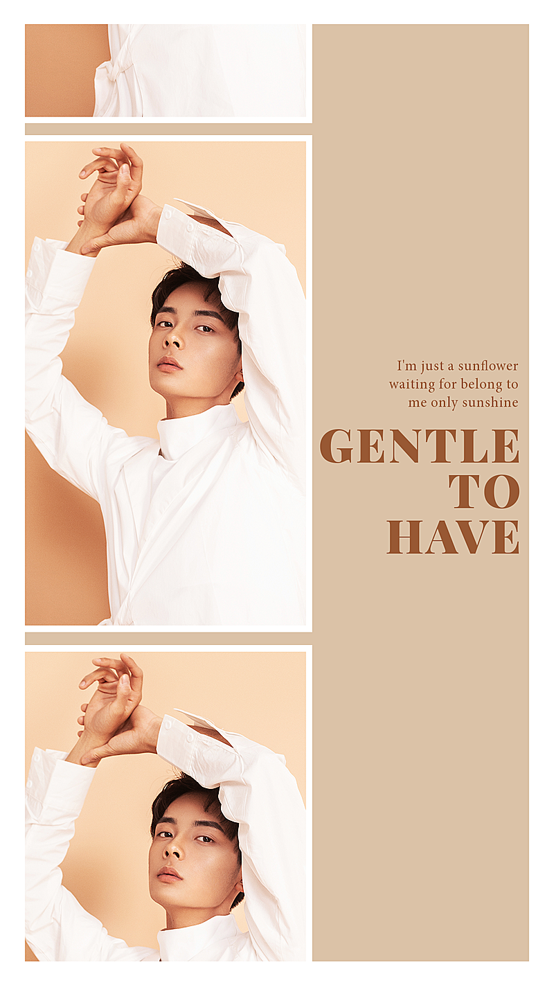 极简大气高级公告宣传海报明星应援