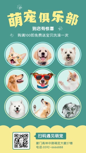 宠物服务品牌宣传实景竖版海报